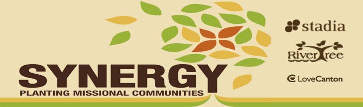 synergy-page-banner